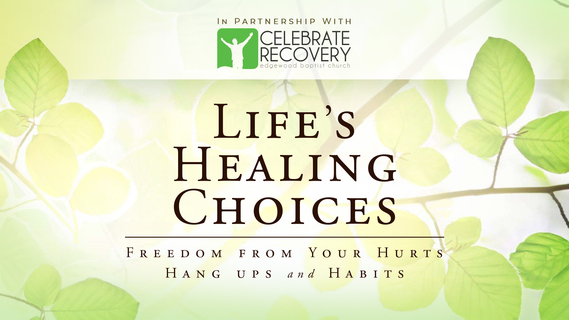 Life's Healing Choices Growth Group Elective